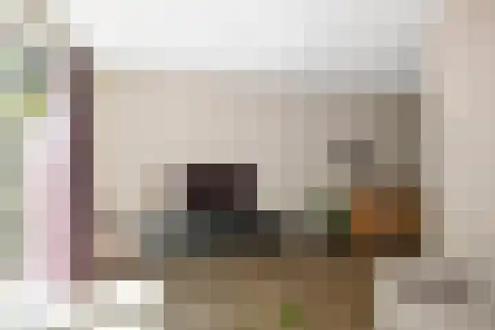 Weidegeelster 10 Twello thumbnail 9