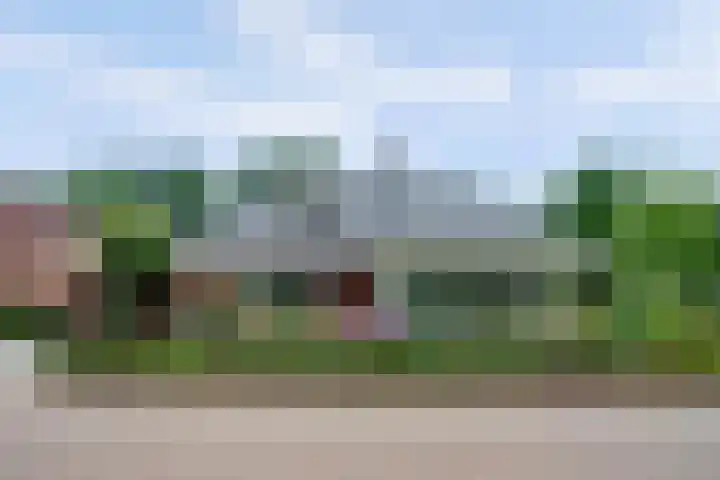 Weidegeelster 4 Twello