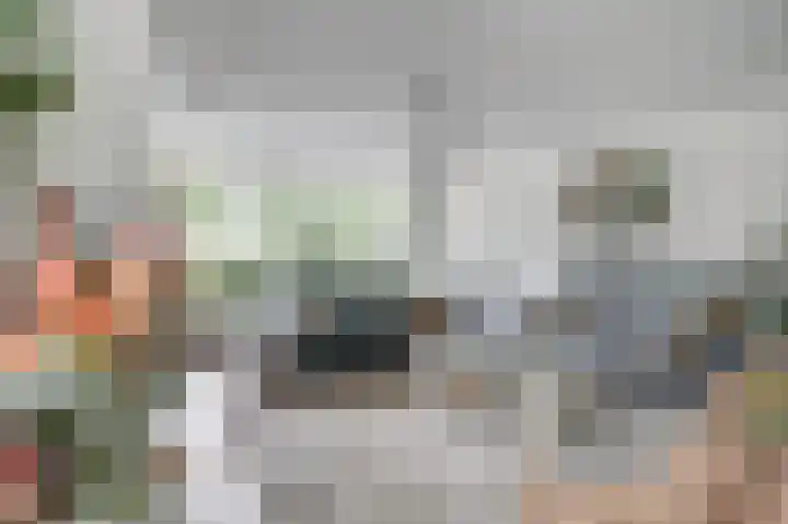 Weidegeelster 4 Twello thumbnail 12