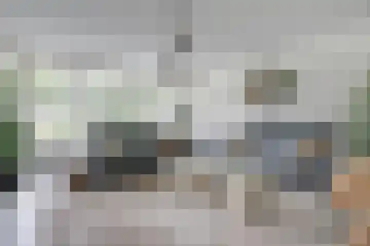 Weidegeelster 4 Twello thumbnail 13