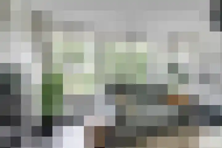 Weidegeelster 4 Twello thumbnail 14