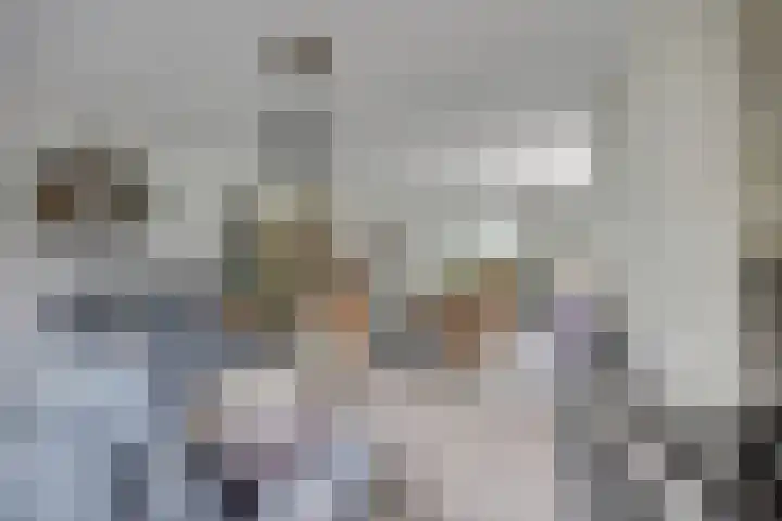 Weidegeelster 4 Twello thumbnail 17
