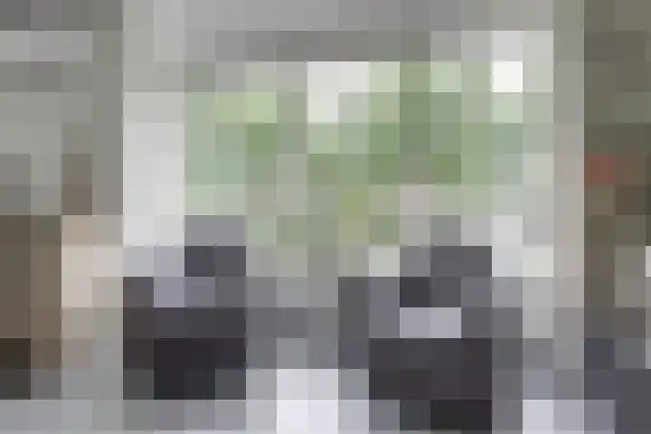 Weidegeelster 4 Twello thumbnail 18