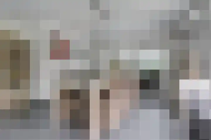 Weidegeelster 4 Twello thumbnail 19