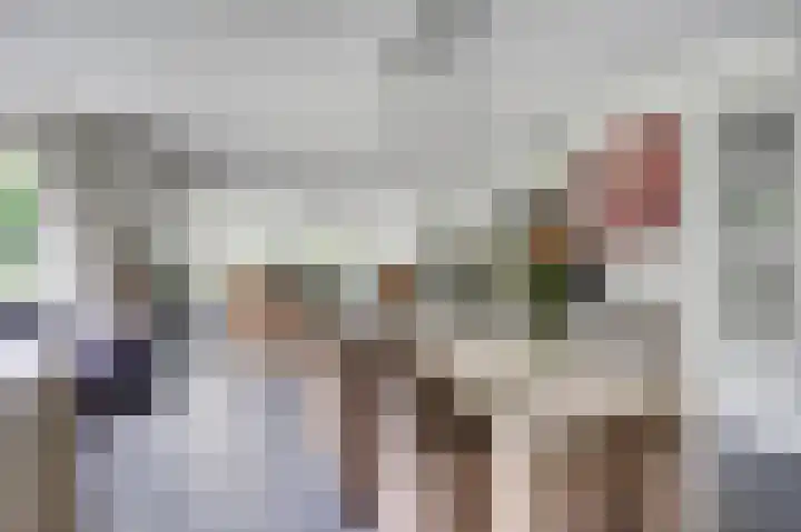 Weidegeelster 4 Twello thumbnail 21