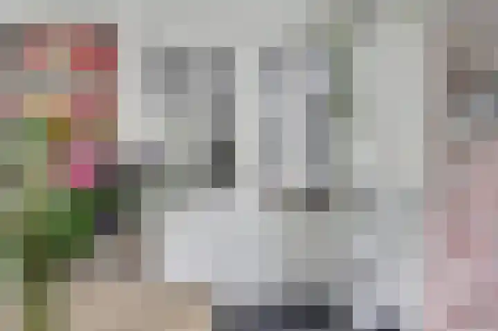 Weidegeelster 4 Twello thumbnail 25