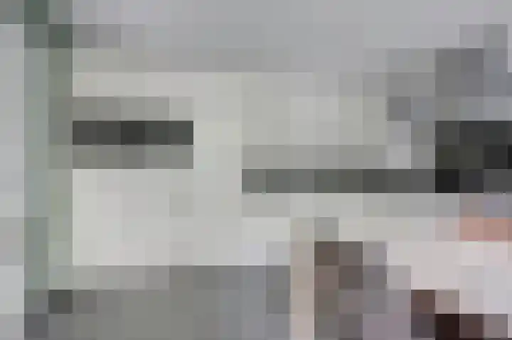 Weidegeelster 4 Twello thumbnail 27