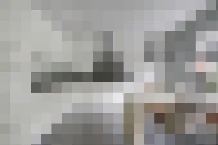 Weidegeelster 4 Twello thumbnail 28