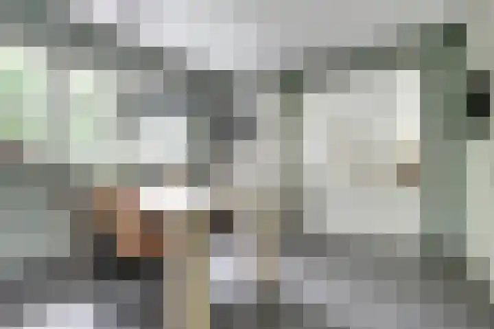 Weidegeelster 4 Twello thumbnail 29