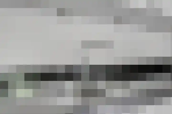 Weidegeelster 4 Twello thumbnail 30