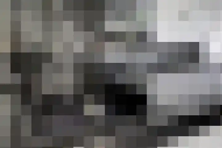 Weidegeelster 4 Twello thumbnail 31