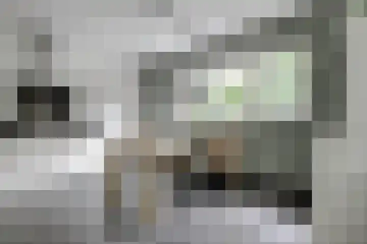 Weidegeelster 4 Twello thumbnail 32