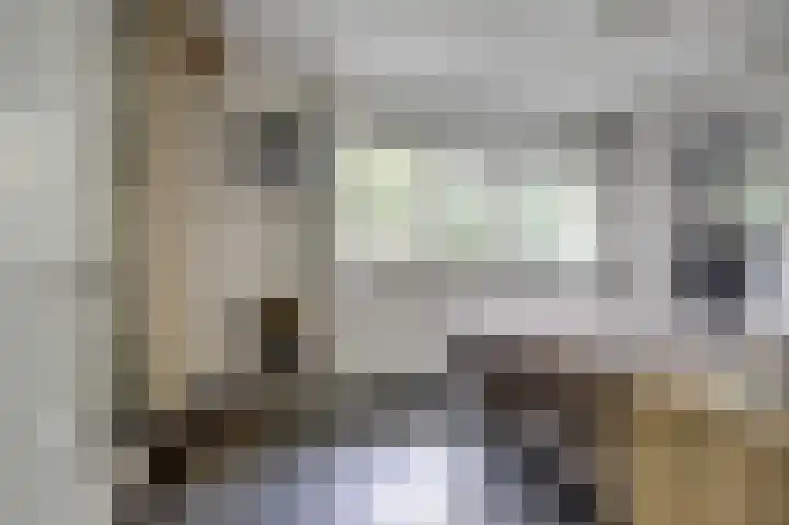 Weidegeelster 4 Twello thumbnail 37