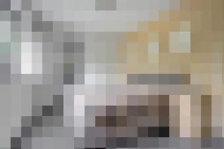 Weidegeelster 4 Twello thumbnail 38