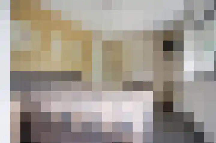 Weidegeelster 4 Twello thumbnail 39