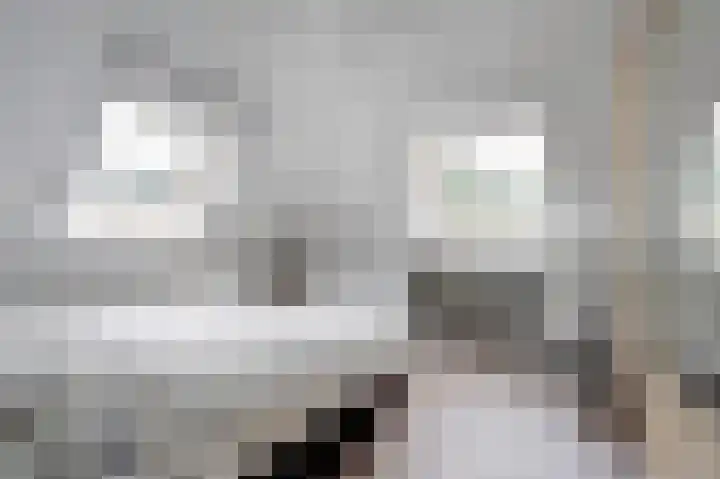 Weidegeelster 4 Twello thumbnail 46