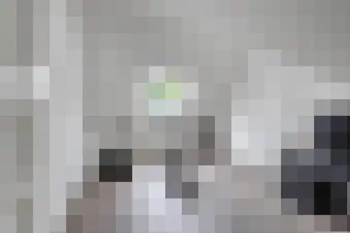 Weidegeelster 4 Twello thumbnail 48
