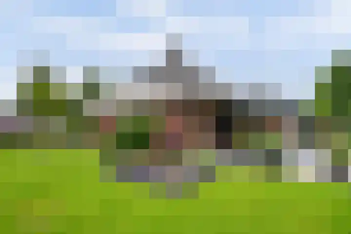 Weidegeelster 4 Twello thumbnail 5