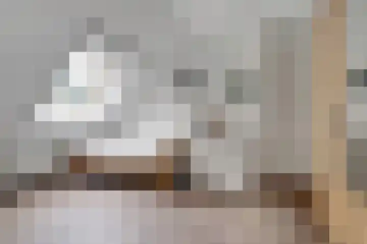 Weidegeelster 4 Twello thumbnail 51