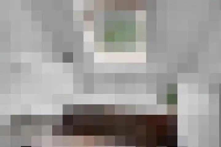 Weidegeelster 4 Twello thumbnail 53
