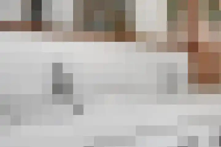 Weidegeelster 4 Twello thumbnail 56