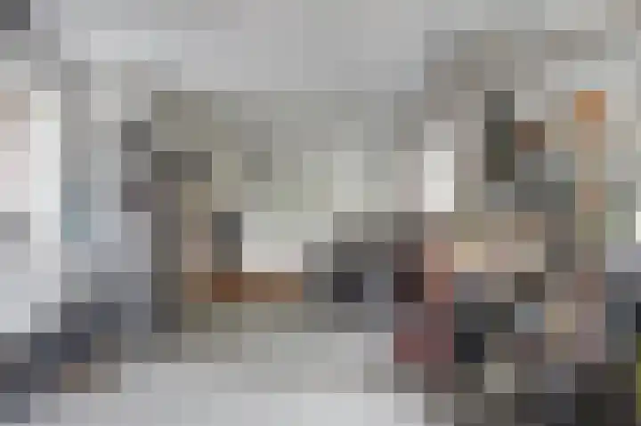 Weidegeelster 4 Twello thumbnail 61