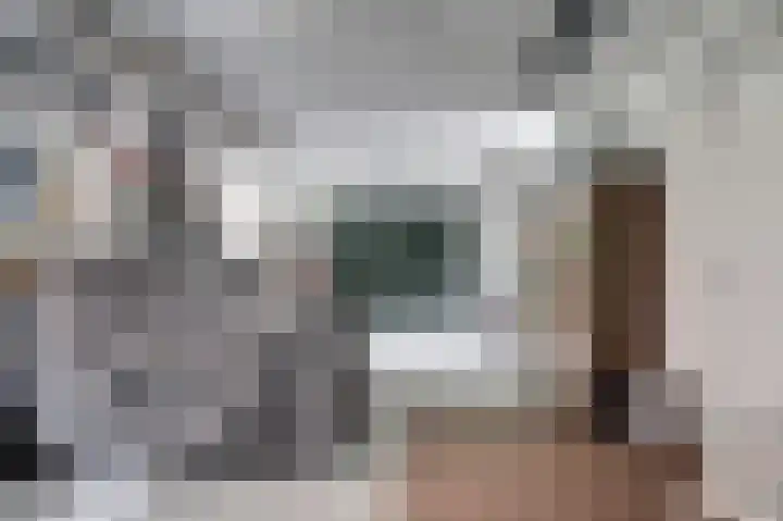 Weidegeelster 4 Twello thumbnail 62