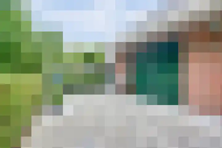 Weidegeelster 4 Twello thumbnail 63