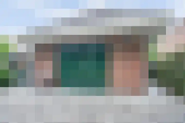 Weidegeelster 4 Twello thumbnail 64