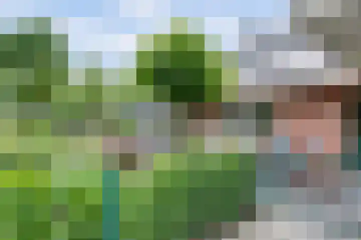 Weidegeelster 4 Twello thumbnail 65