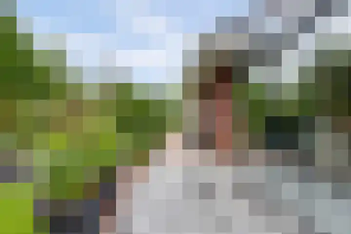 Weidegeelster 4 Twello thumbnail 69