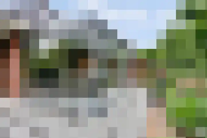Weidegeelster 4 Twello thumbnail 70