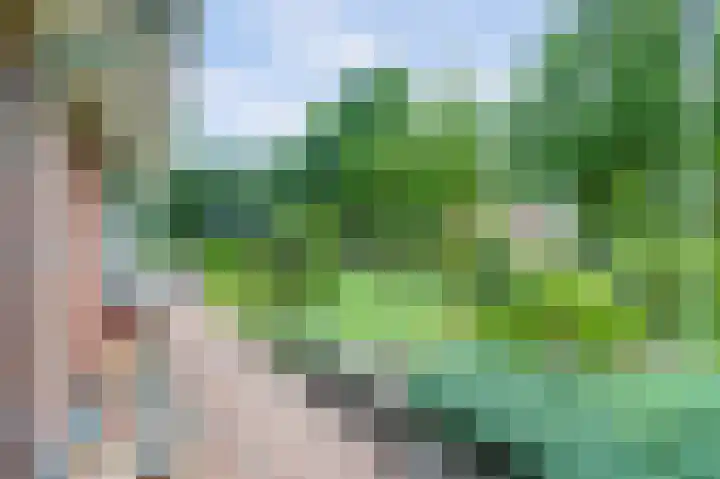 Weidegeelster 4 Twello thumbnail 71