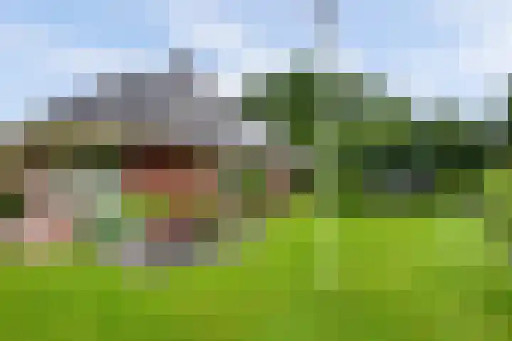 Weidegeelster 4 Twello thumbnail 72