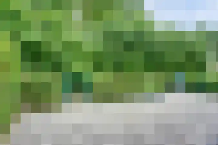 Weidegeelster 4 Twello thumbnail 74