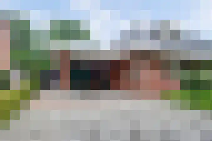 Weidegeelster 4 Twello thumbnail 77