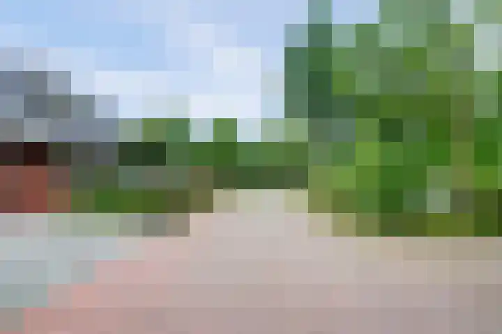 Weidegeelster 4 Twello thumbnail 78