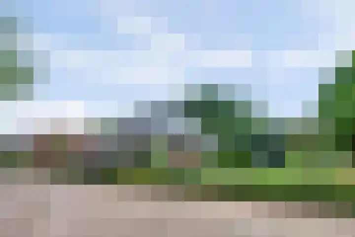 Weidegeelster 4 Twello thumbnail 79