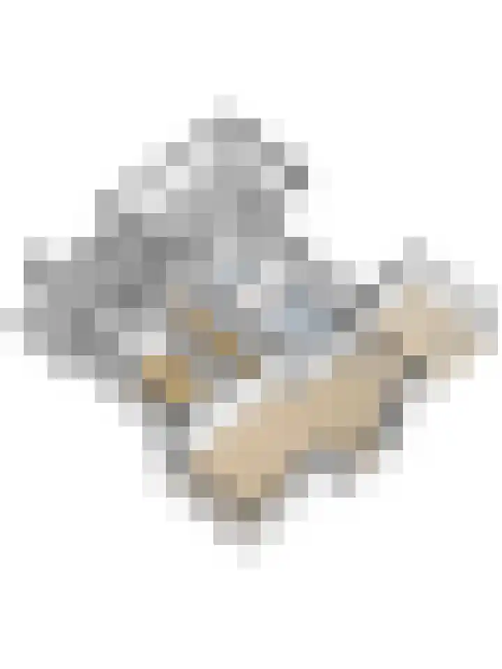 Weidegeelster 4 Twello thumbnail 85