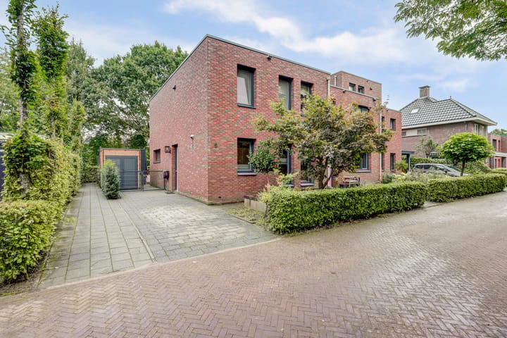 Weidegeelster 5 in Twello foto