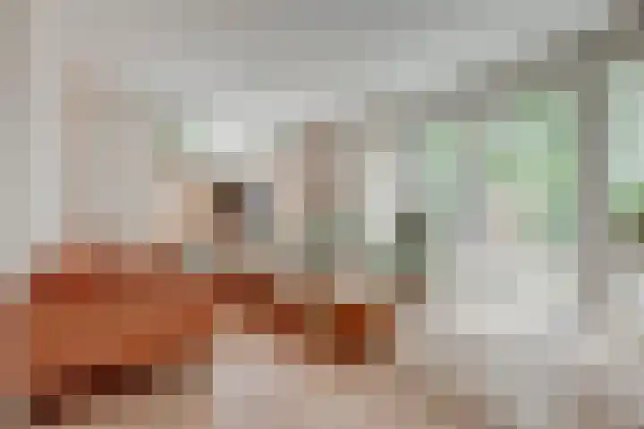 Weidegeelster 5 Twello thumbnail 11