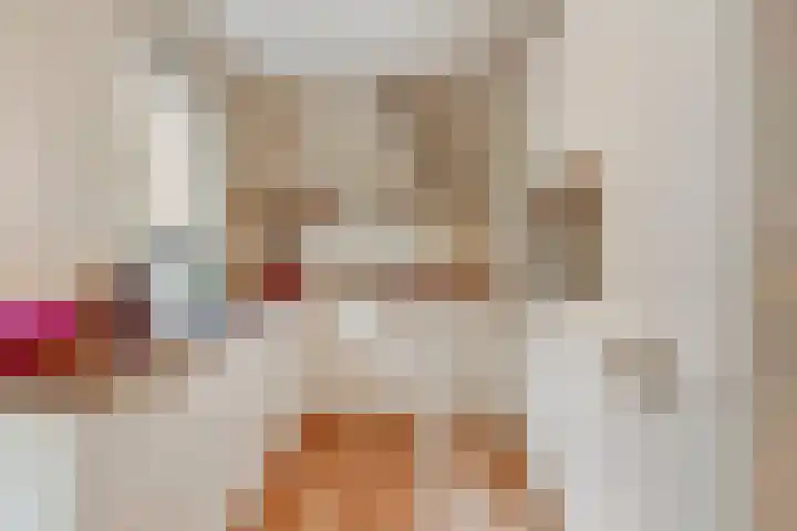 Weidegeelster 5 Twello thumbnail 16