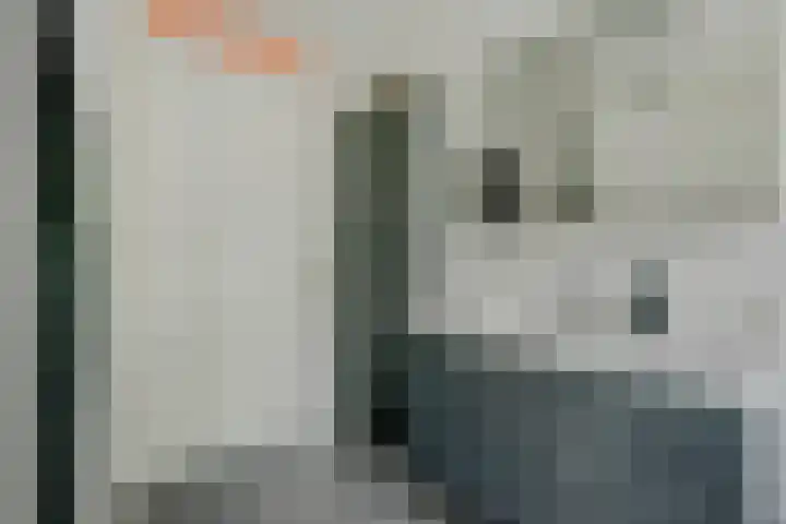 Weidegeelster 5 Twello thumbnail 24