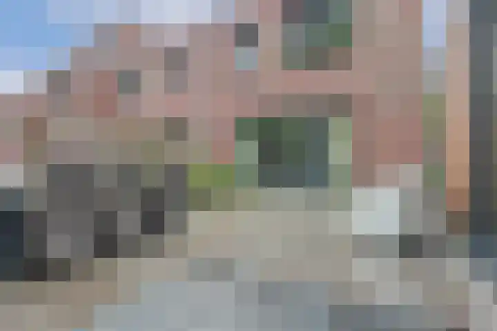 Weidegeelster 5 Twello thumbnail 27