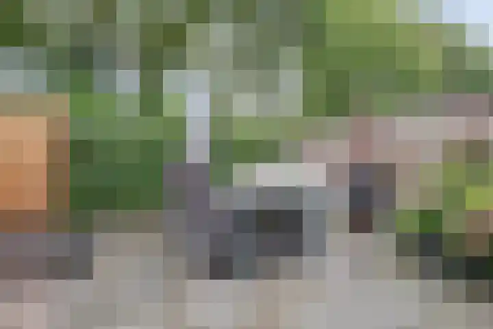 Weidegeelster 5 Twello thumbnail 28