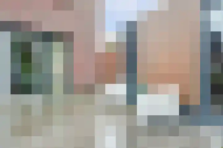Weidegeelster 5 Twello thumbnail 29