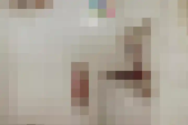 Weidegeelster 5 Twello thumbnail 33