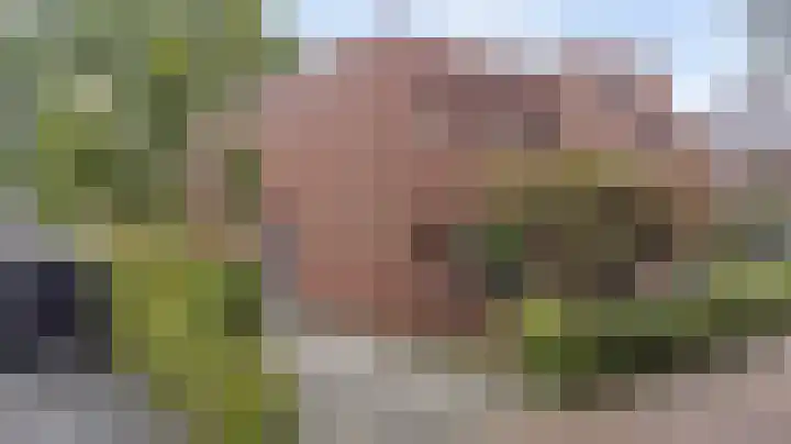 Weidegeelster 5 Twello thumbnail 35