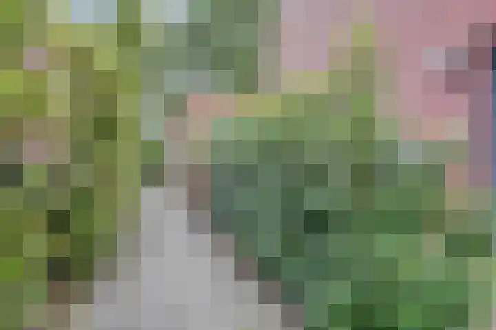 Weidegeelster 5 Twello thumbnail 36