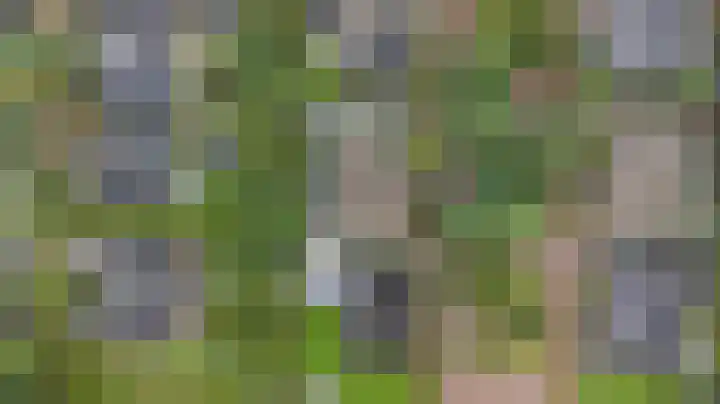 Weidegeelster 5 Twello thumbnail 37